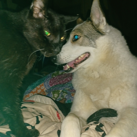 Meet your Posher, Alisha - Picture 6 of 6